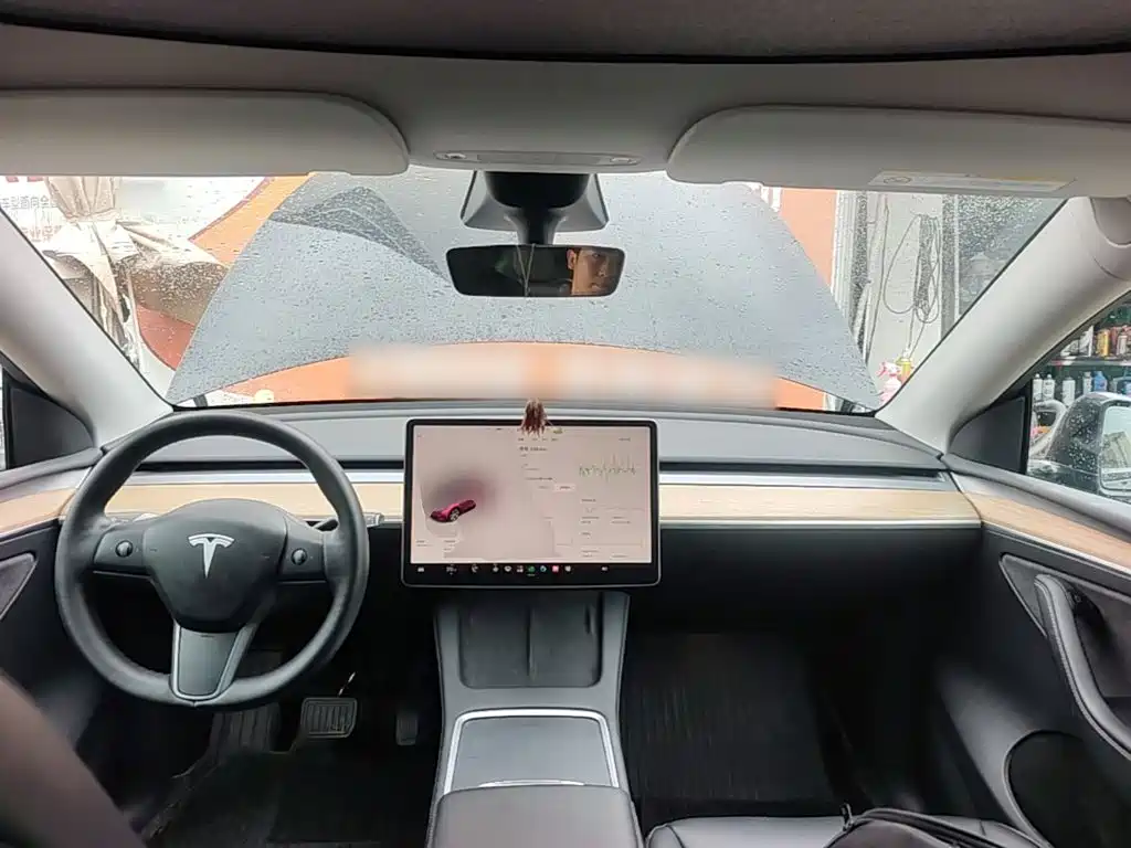 Tesla Model Y — миниатюра 10