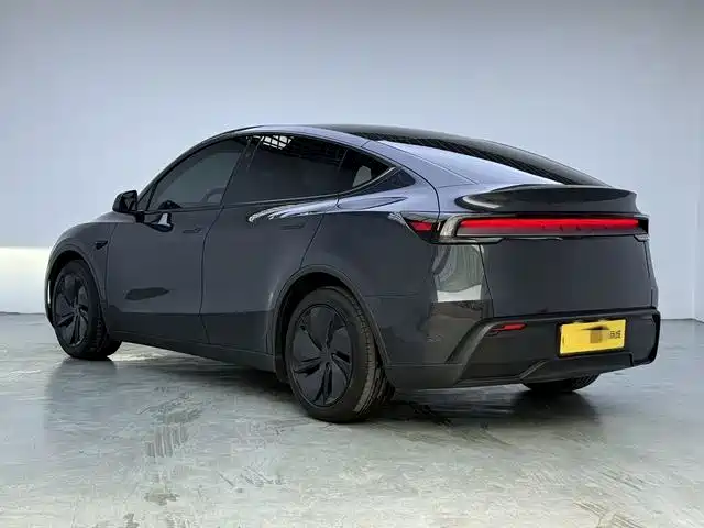 Tesla Model Y — миниатюра 4