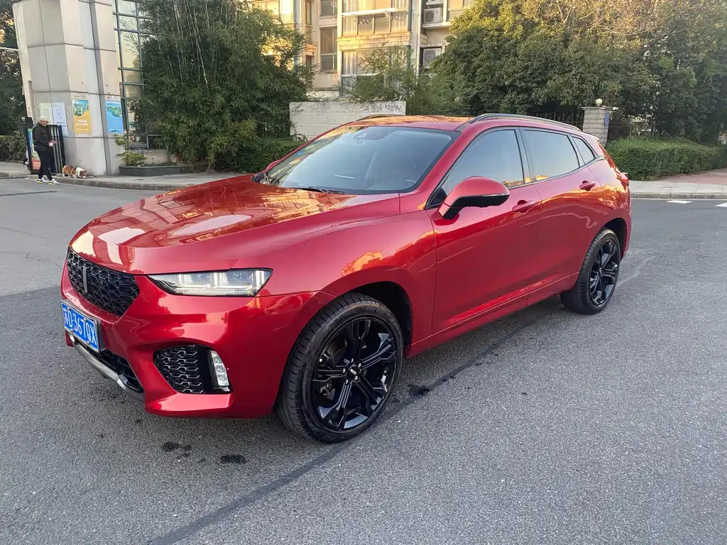 WEI PAI WEI BRAND VV7