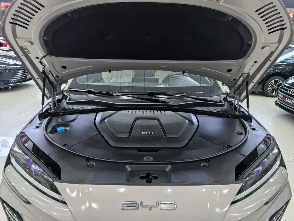 BYD PLUS New Energy — миниатюра 10