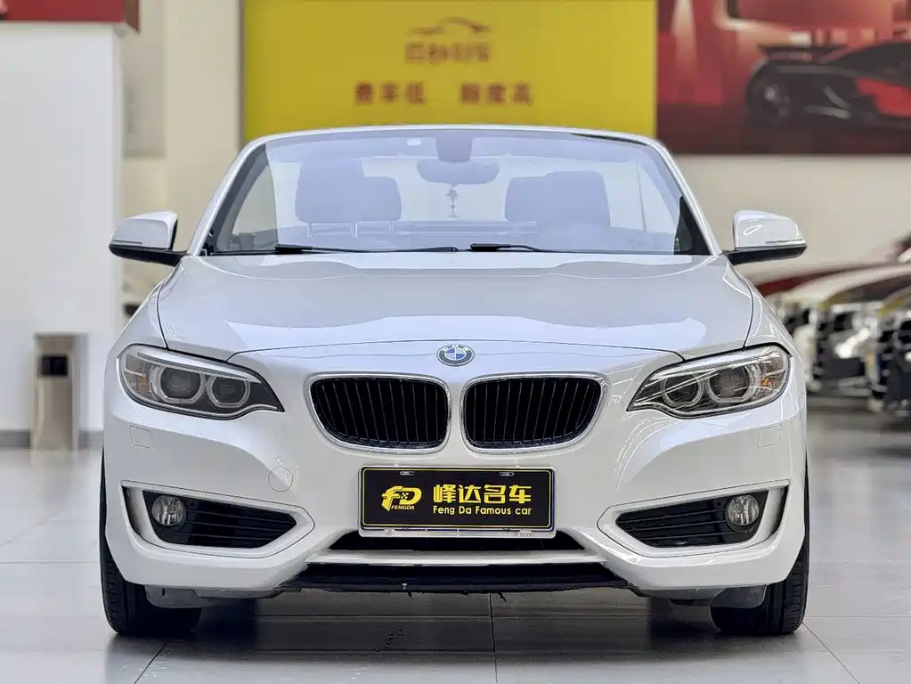 BMW 2 Series (Import) — миниатюра 16