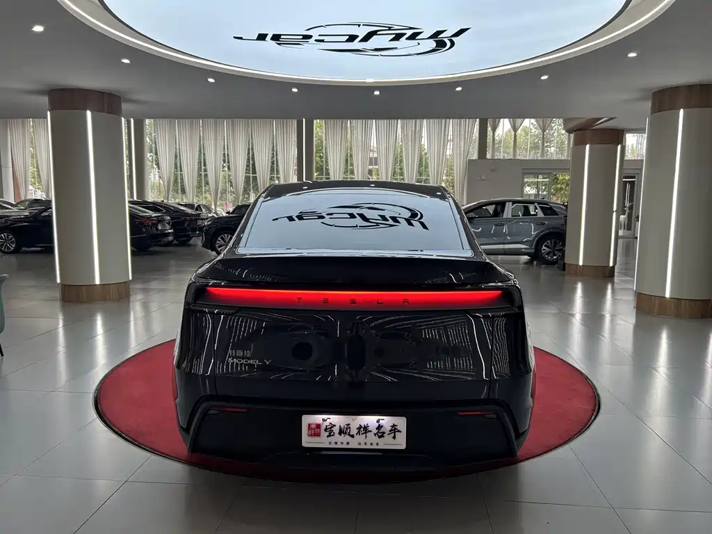 Tesla Model Y — миниатюра 6