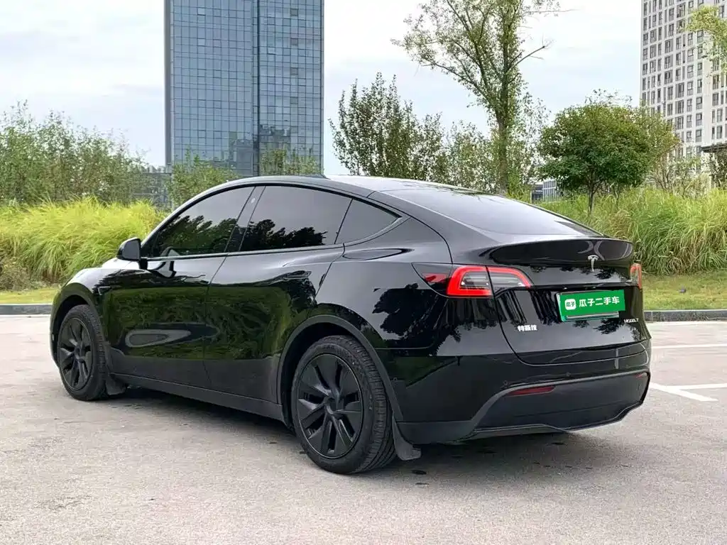 Tesla Model Y — миниатюра 5