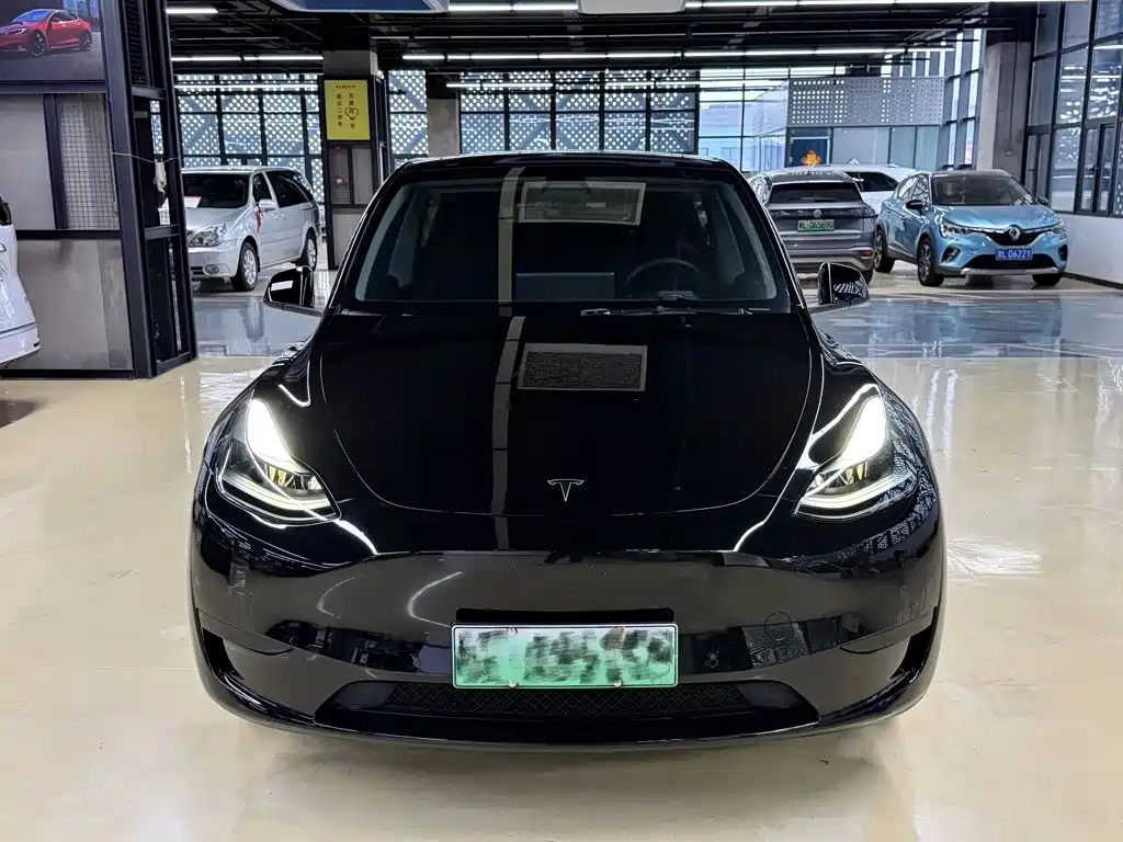 Tesla Model Y — миниатюра 2