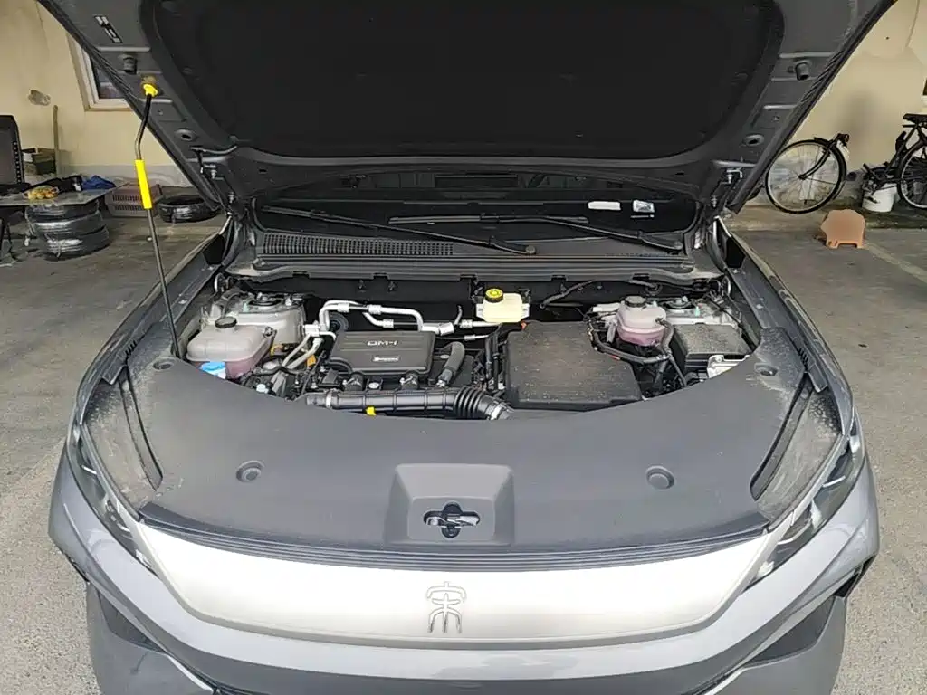 BYD Pro New Energy — миниатюра 20