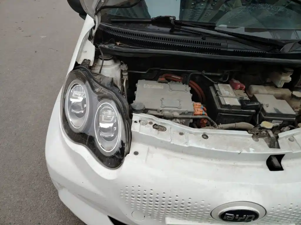 BYD e1 — миниатюра 21