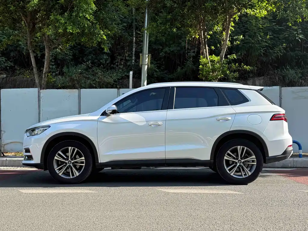BYD Pro — миниатюра 7