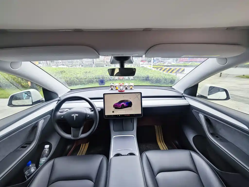 Tesla Model Y — миниатюра 5