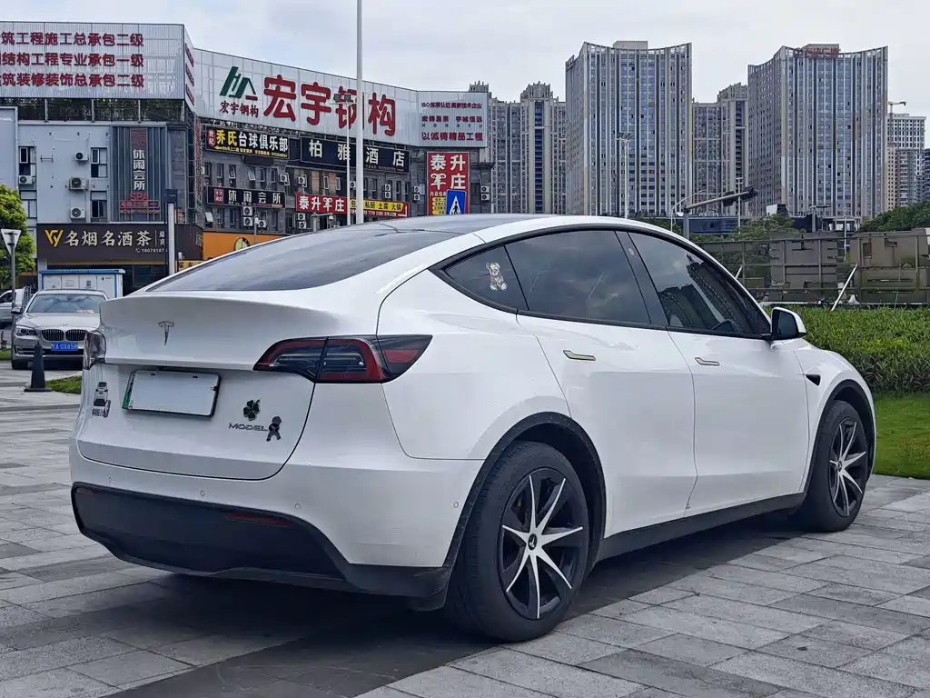 Tesla Model Y — миниатюра 3