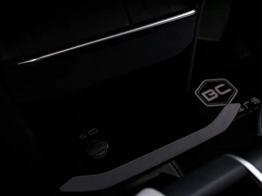 Buick GL8 — миниатюра 10