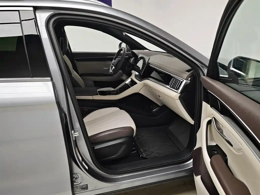 BYD PLUS New Energy — миниатюра 10