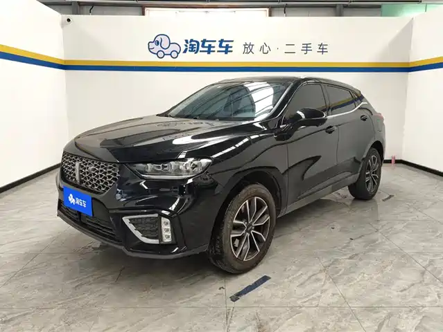 WEI PAI WEI BRAND VV5 2021