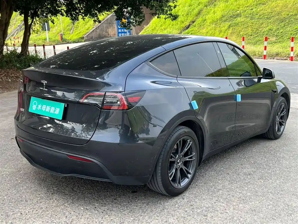 Tesla Model Y — миниатюра 12