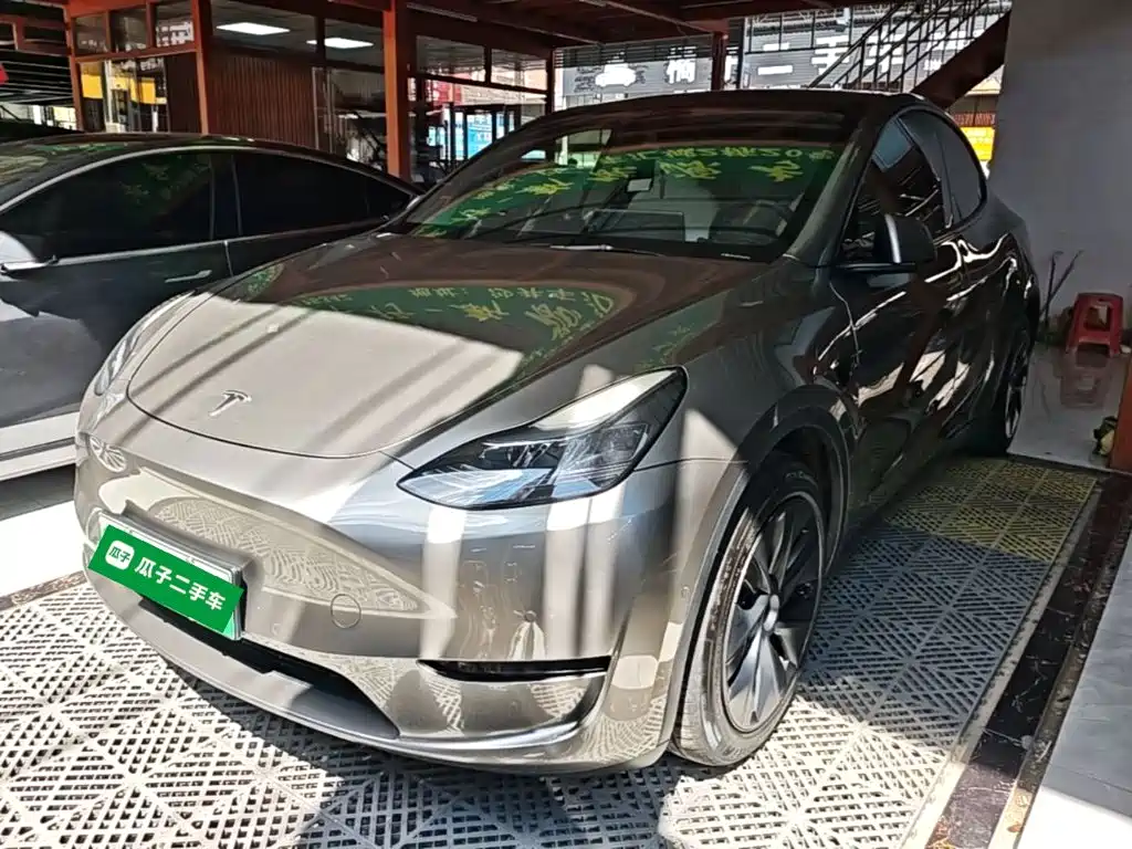 Tesla Model Y — миниатюра 2