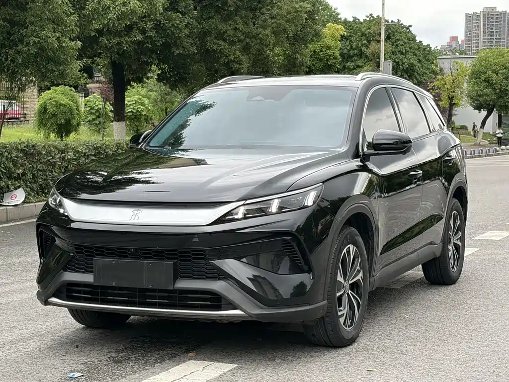 Byd Pro New Energy 2025