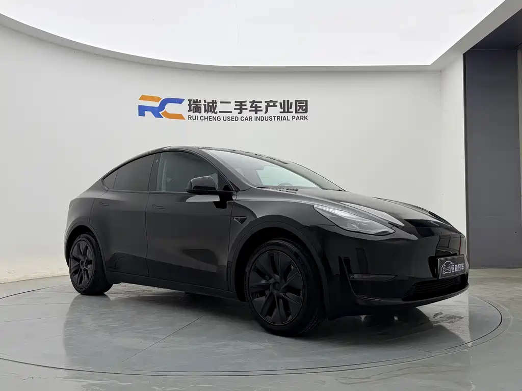 Tesla Model Y — миниатюра 3