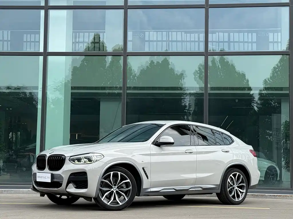BMW X4 2019 xDrive25i M Offroad Package