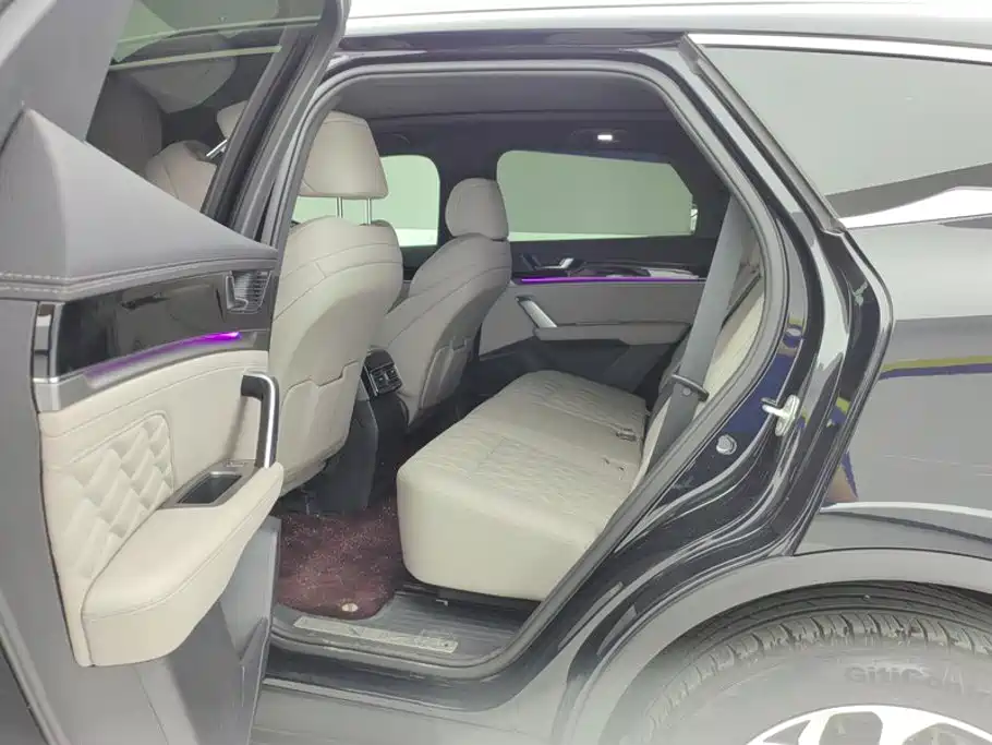 BYD Tang New Energy — миниатюра 11