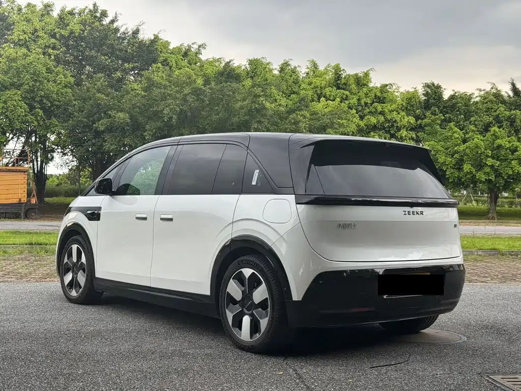 Zeekr Mix 2025 Smart Drive