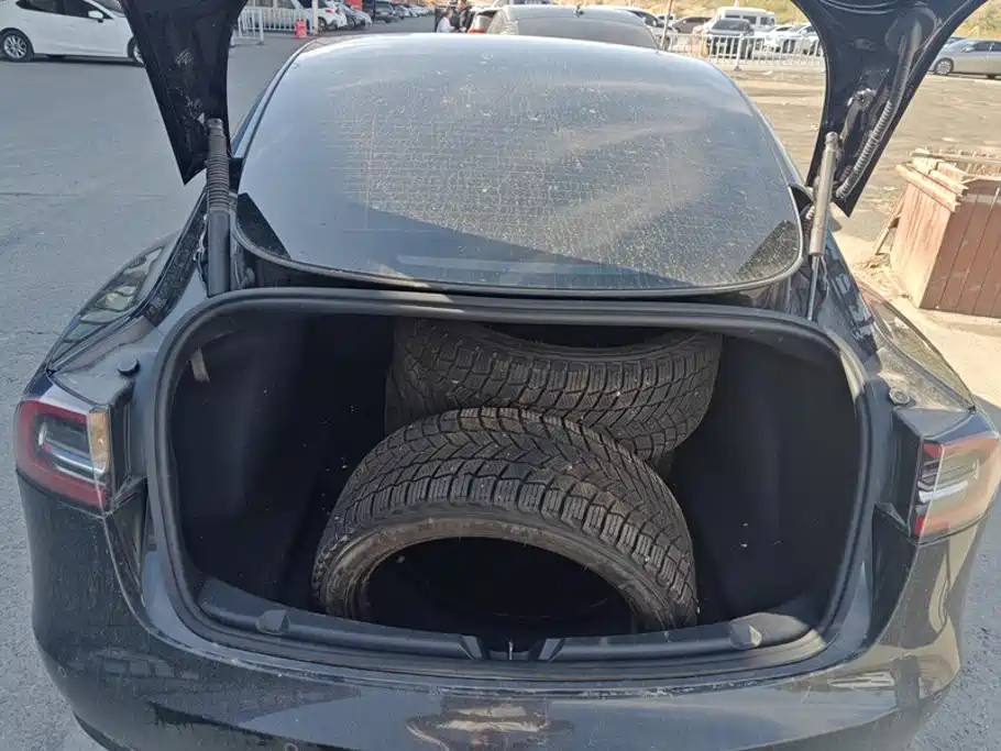 Tesla Model 3 — миниатюра 4