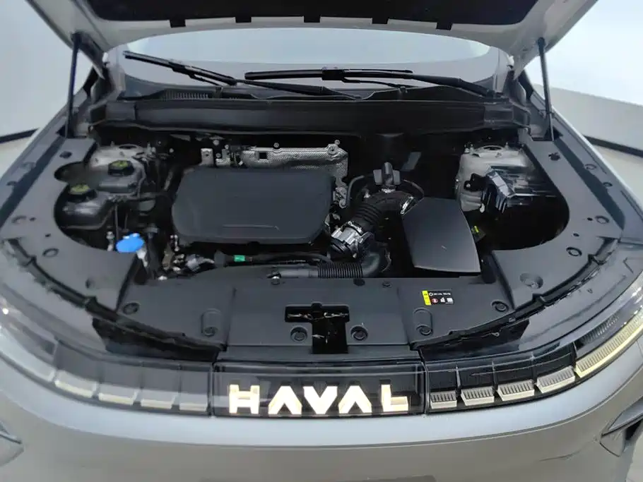 Haval Xiaolong MAX — миниатюра 10