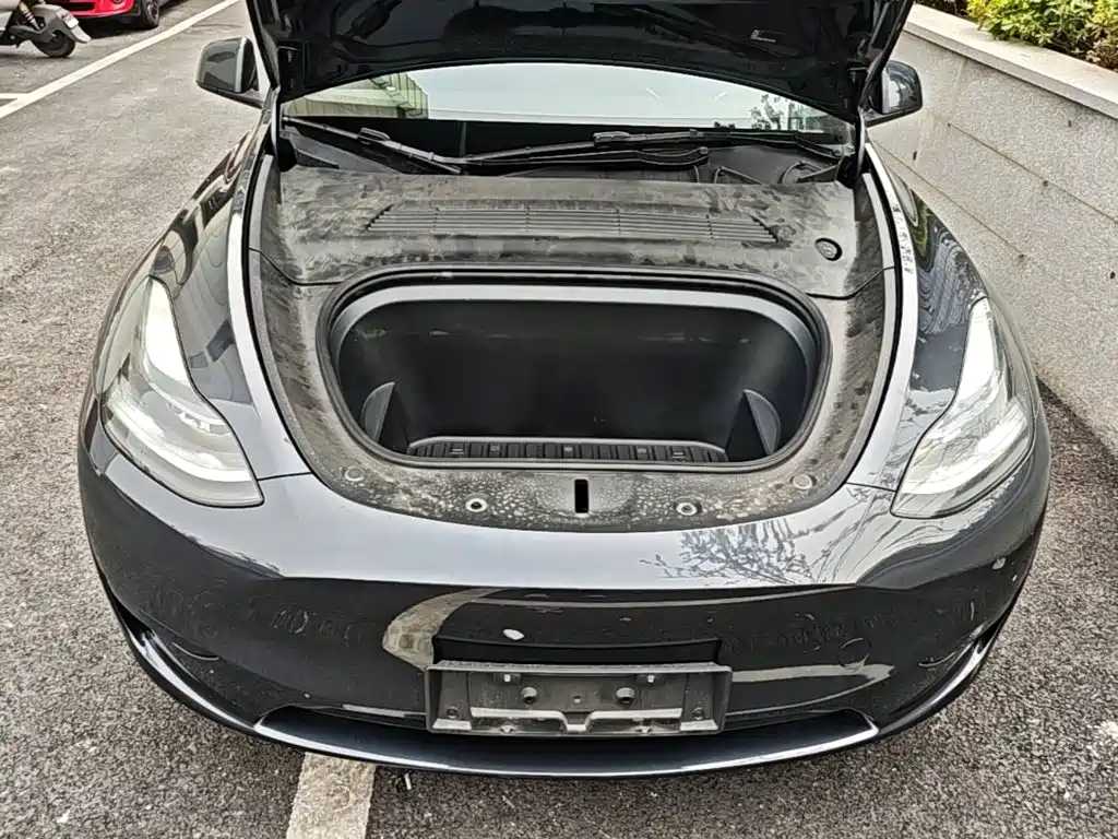 Tesla Model Y — миниатюра 20