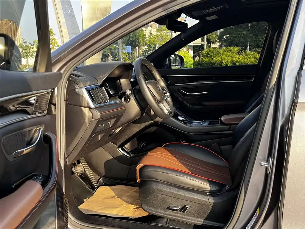 BYD PLUS — миниатюра 11