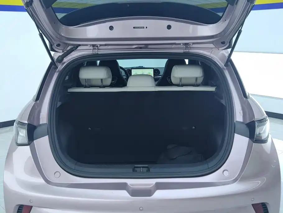 BYD Dolphin — миниатюра 4