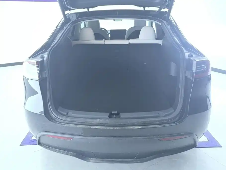 Tesla Model Y — миниатюра 4
