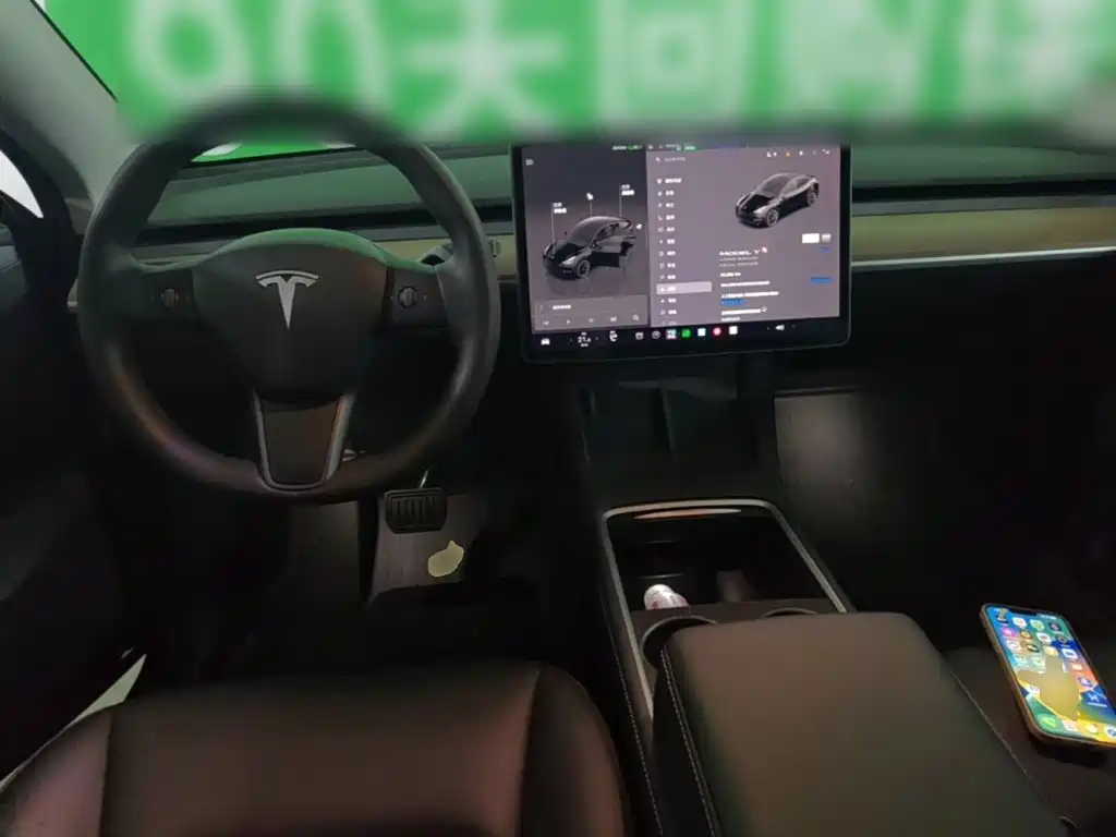 Tesla Model Y — миниатюра 10