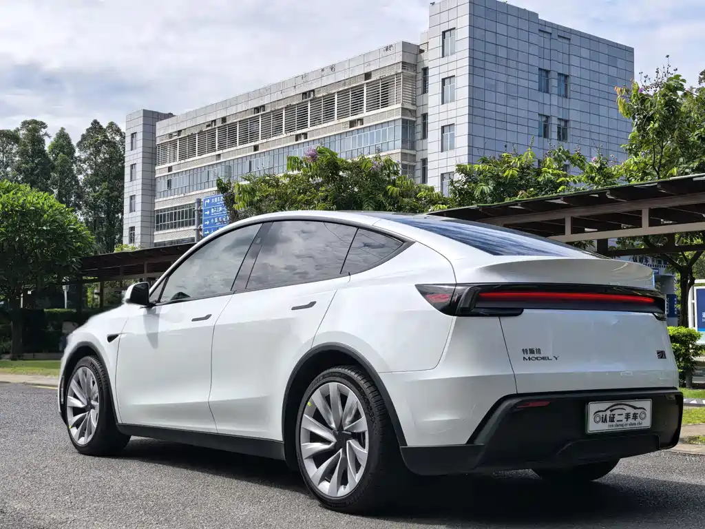 Tesla Model Y — миниатюра 9