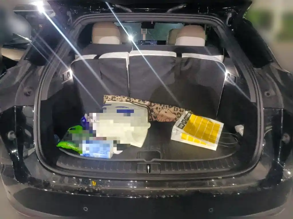Li Auto Li i6 — миниатюра 15