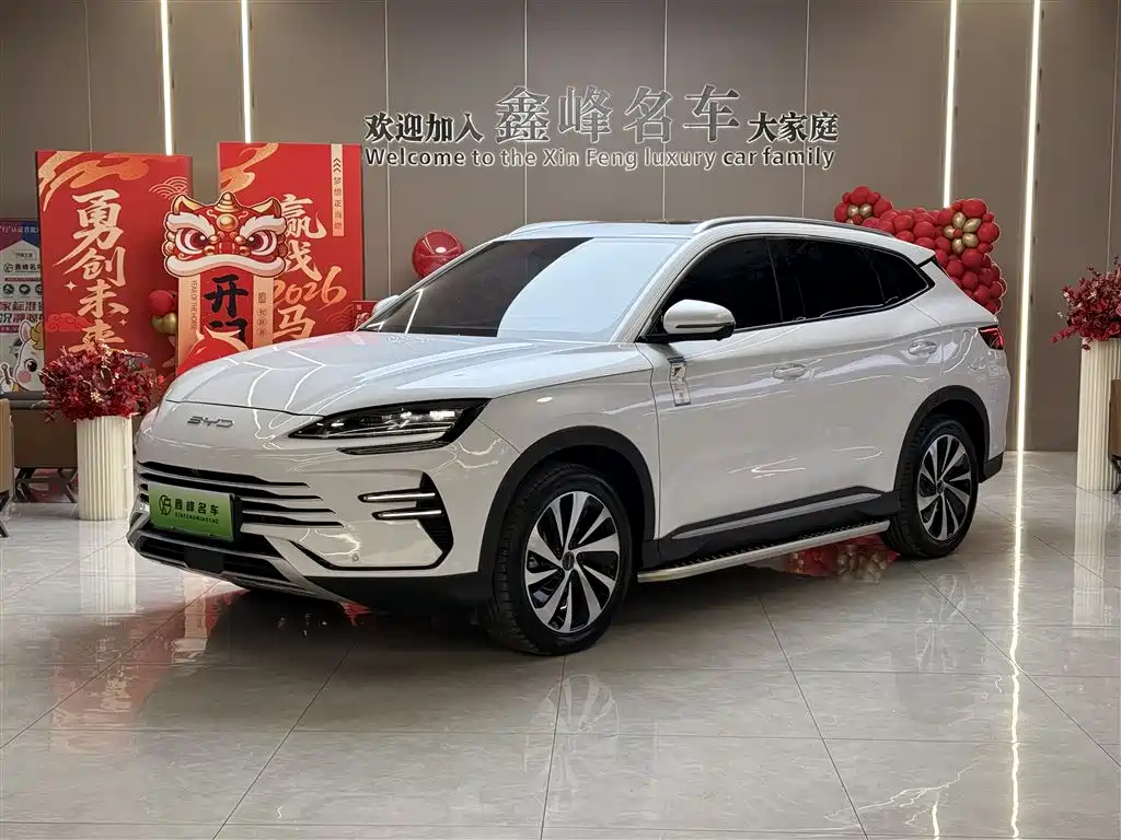 BYD SONGJIANG NEW ENERGY