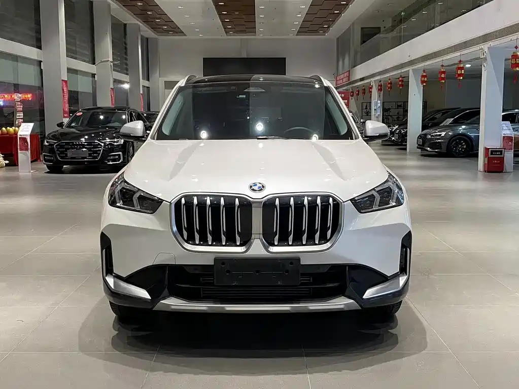 BMW X1 — миниатюра 2