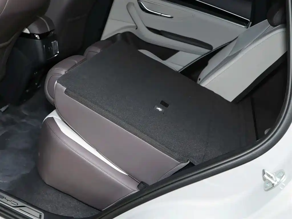 BYD SONGJIANG NEW ENERGY