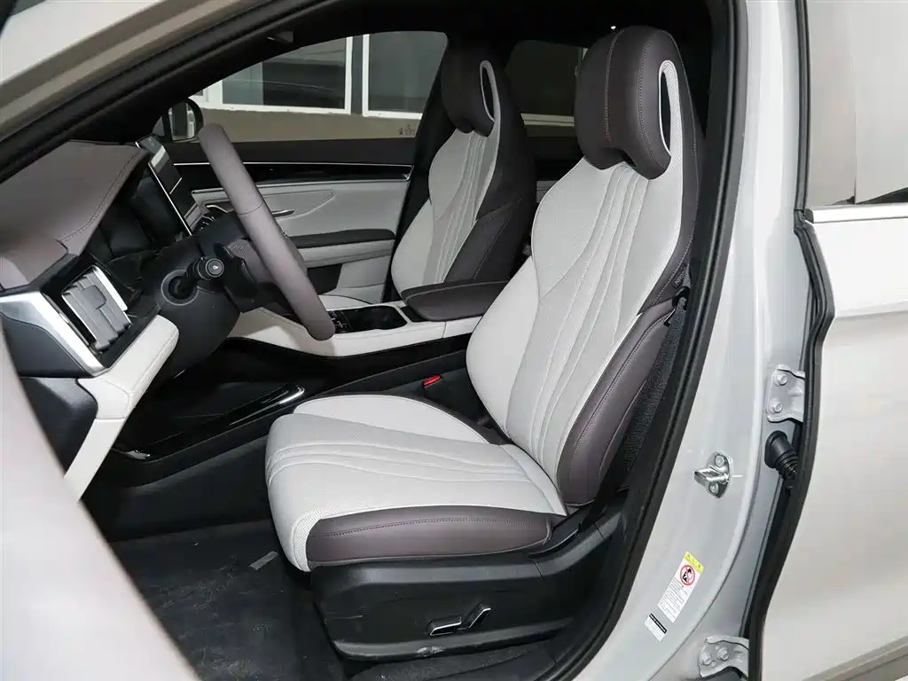 BYD SONGJIANG NEW ENERGY