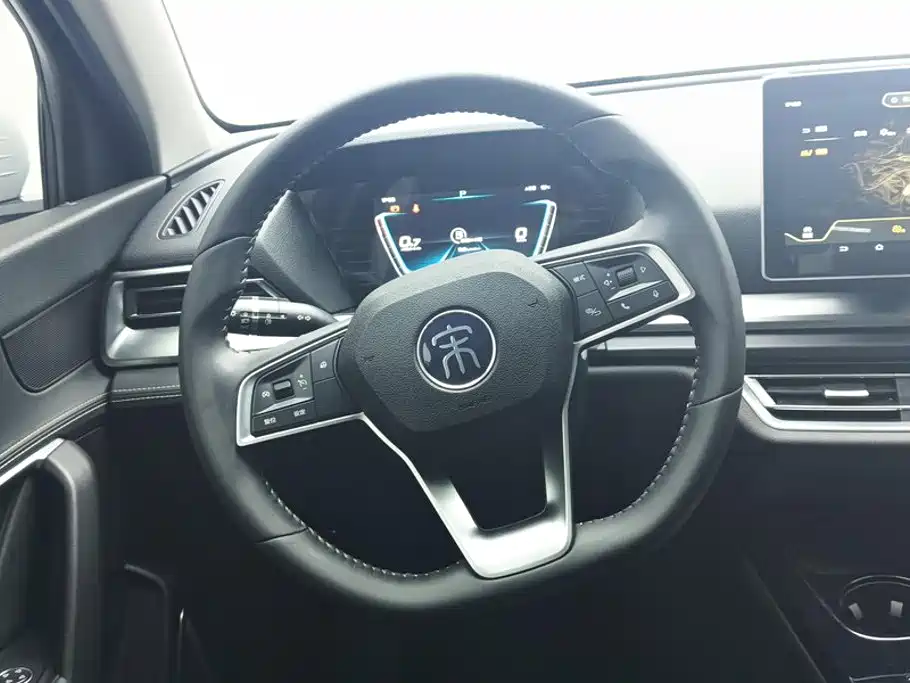 BYD Pro — миниатюра 15