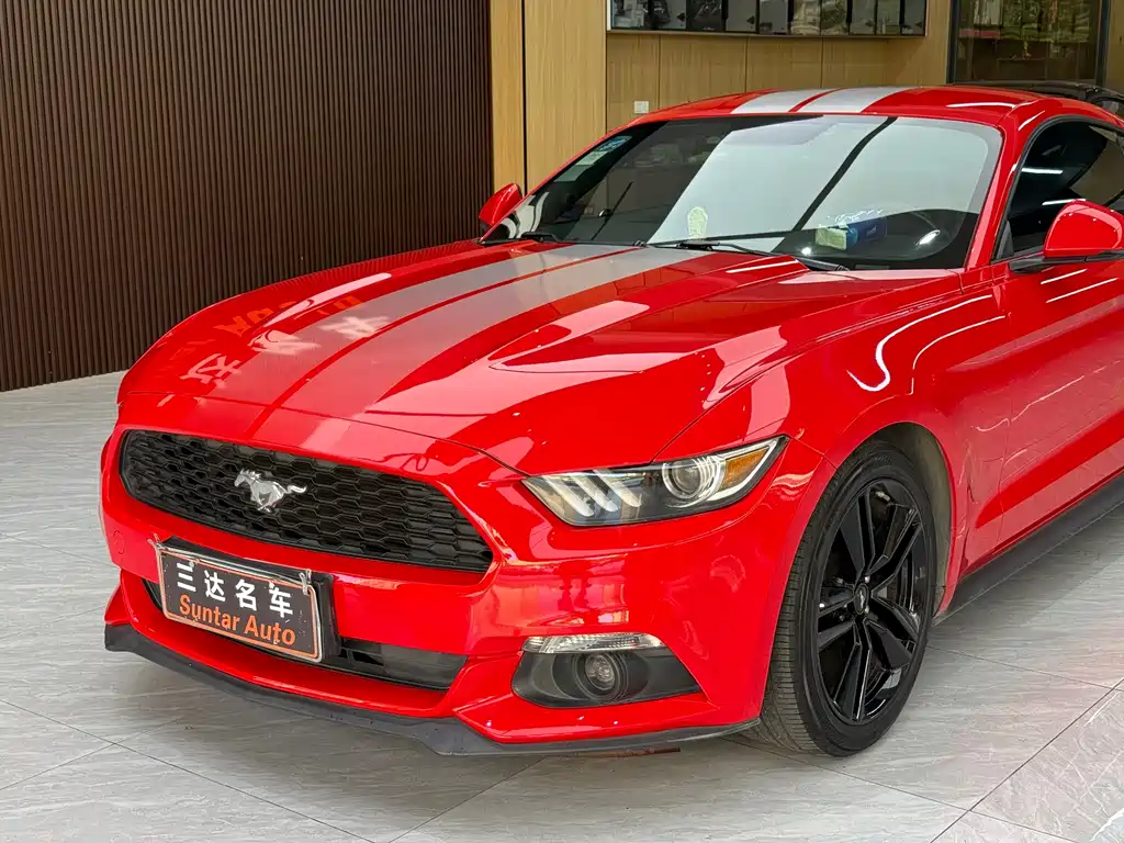 Ford Mustang — миниатюра 24