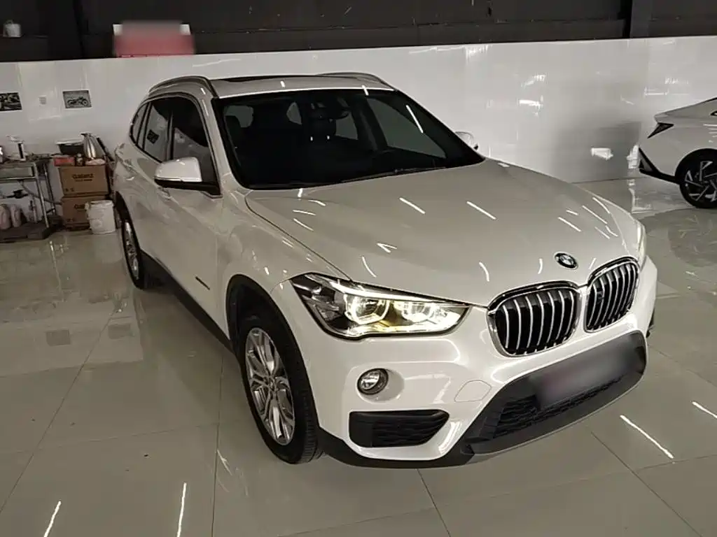 BMW X1 2018 sDrive20Li Lead