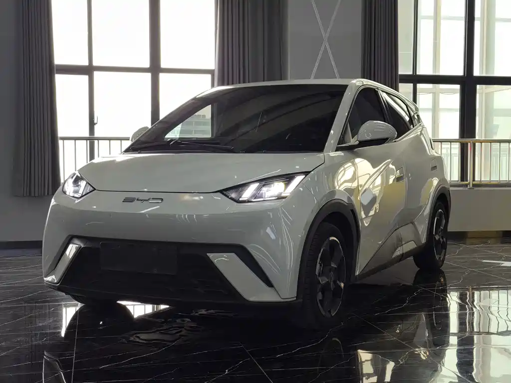 BYD Seagull