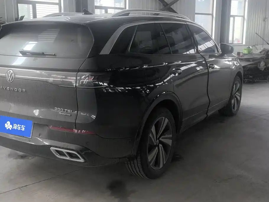 Volkswagen Tavendor — миниатюра 3