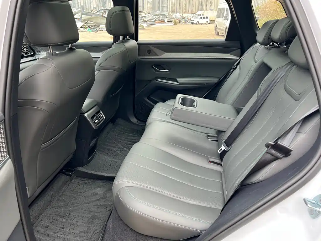 BYD SONGJIANG NEW ENERGY