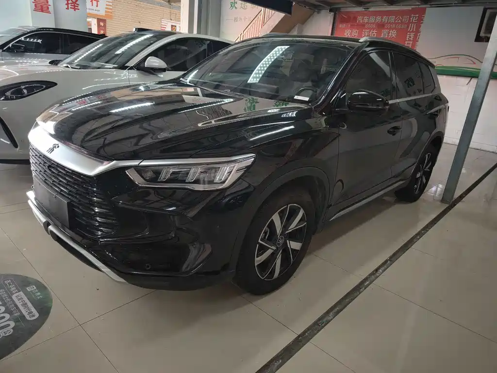 Byd Pro New Energy 2025