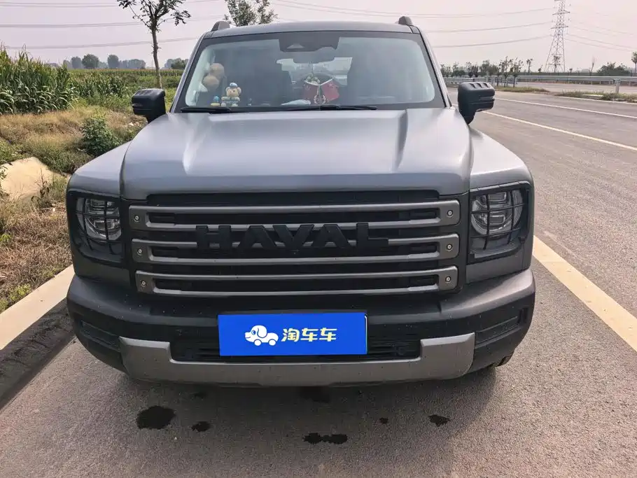 Haval Menglong New Energy — миниатюра 2