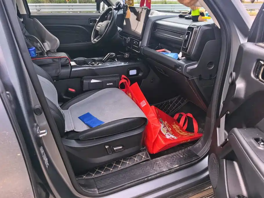 Haval Menglong New Energy — миниатюра 8