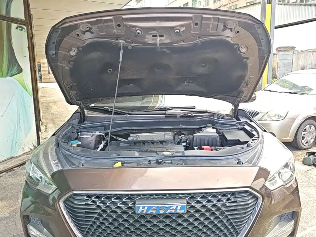 Haval M6 — миниатюра 20