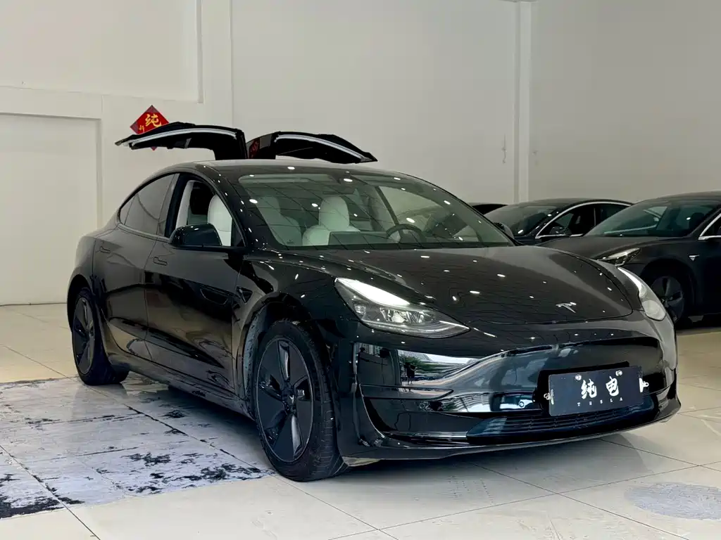 Tesla Model 3 — миниатюра 3