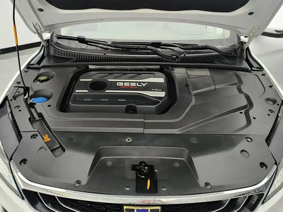 Geely Binrui — миниатюра 10