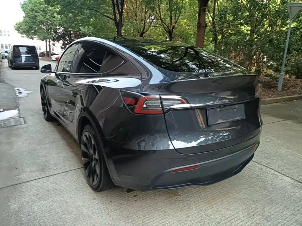 Tesla Model Y — миниатюра 5