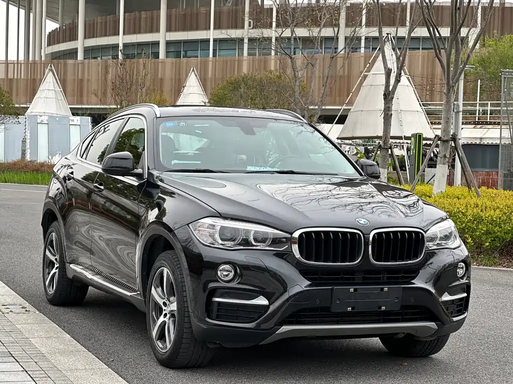 BMW X6 2015 xDrive35i Luxury